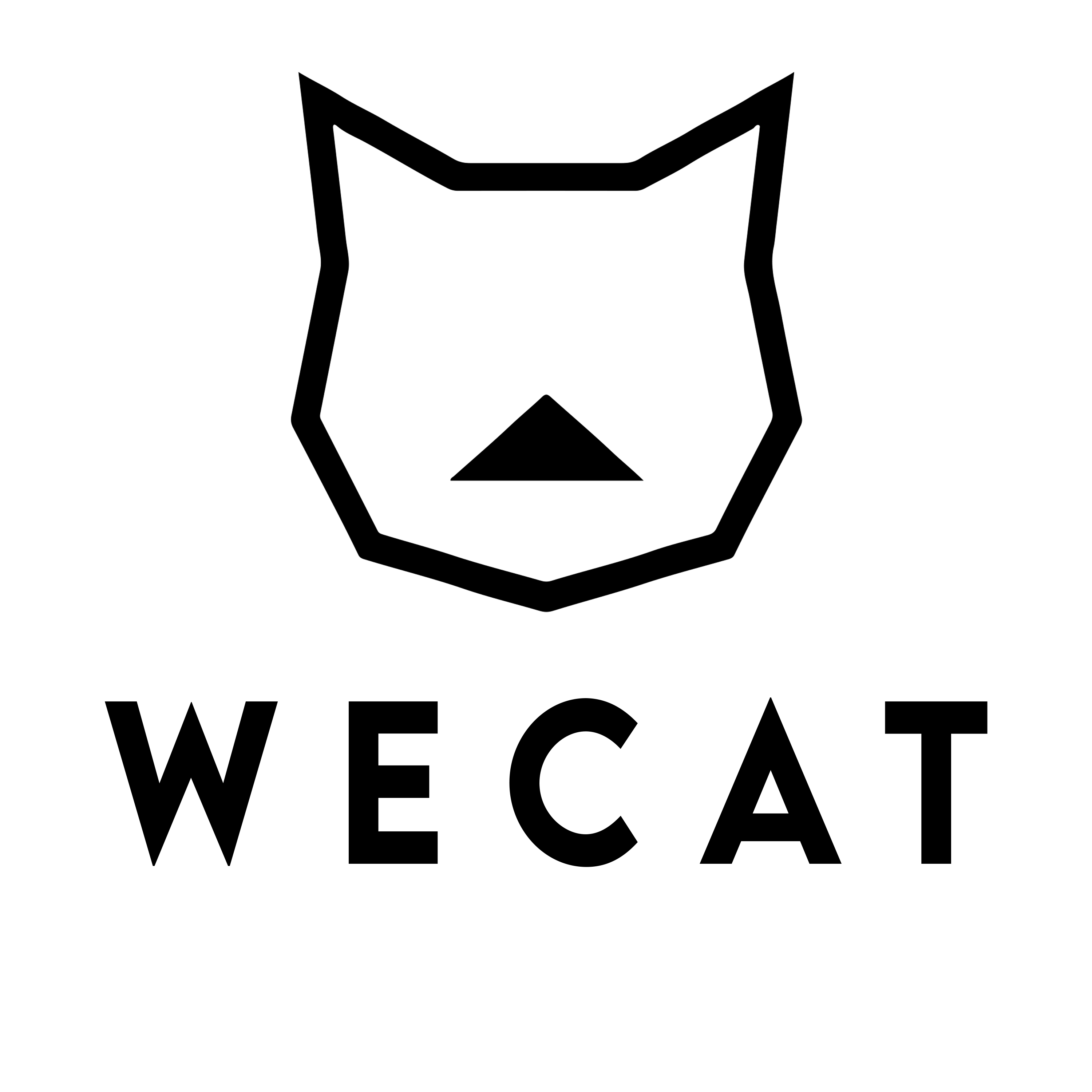 Logo WeCat